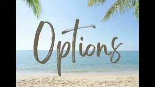 Options By Pitbull