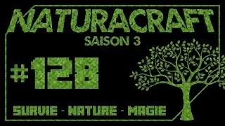 NaturaCraft S03E128 - A la recherche des Elytres !