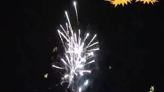 Р7866: Салют столичный