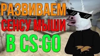 РАЗВИВАЕМ СЕНСУ МЫШИ В CS:GO!