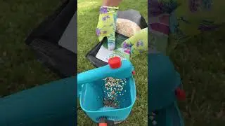 Чим підживити газон навесні 