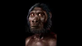 تاريخ عالمي للعالم القديم ٣: الفصل ١ | نشأة الإنسان وانتشاره والعصر الحجري