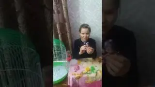 распаковываем коробочку с куклой шопкинс