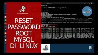 Cara Mudah Reset Root Password Mysql di Linux (Ubuntu 20.04)