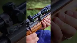 Ruger M77/22