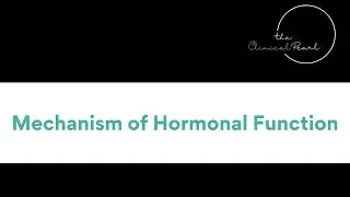Mechanisms of Hormonal Function  - RN Pathophysiology