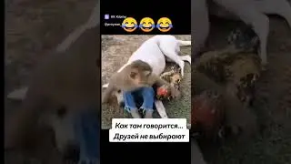 😁👍🗣️👍❗настоящие друзья ❗❗❗
