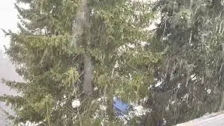 Neve 08-01-2023 a Foppolo