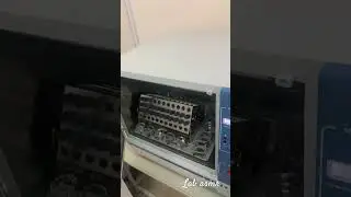 Lab asmr
