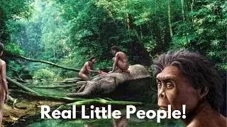Homo Floresiensis: The Mysterious Hobbit of Indonesia