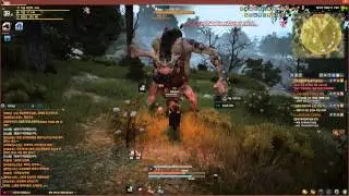 Black Desert Online OBT Korean : Sorcer vs BOSS 40 lvl