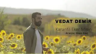 Vedat Demir - Karanfil Eker Misin