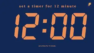 set a timer for 12 minute