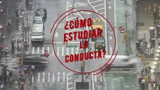 Introducción a la investigación