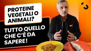 Proteine vegetali o proteine animali? Tutto quello che c'è da sapere! | Filippo Ongaro