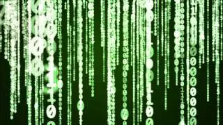 Matrix Effect