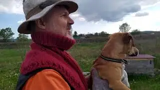 Жизнь на природе. Сегодня спасли зайца возле дома.