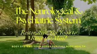 #7 NEUROLOGICAL & PSYCHIATRIC SYSTEM: Restorative Yin Yoga to Reset the Mind