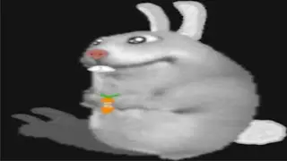 how to find "rabbik"