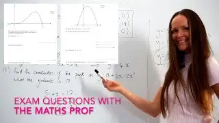 The Maths Prof: Graphs & Differentiation NEW EXAM QUESTIONS!