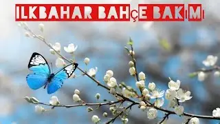 İlkbahar bahçe bakımı.
