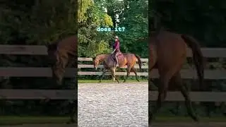 the first video when he was tense and trotting, yes
