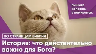 История: что действительно важно для Бога?