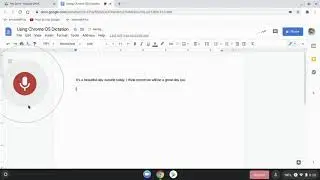 Voice Typing on the Chromebook