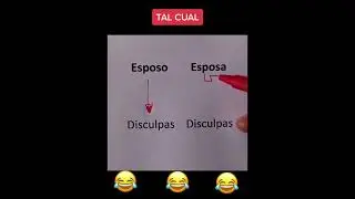 esposo pidiendo disculpas VS esposa pidiendo disculpas