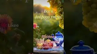Доброе утро, Друзья! Хорошего Вам дня!