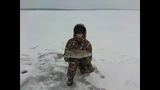 Catching zander and pike using ponds and tip-ups. Winter fishing on the Minsk Sea in strong winds.