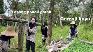 SELAMA NI SAYA TK TUNJUK KERJA NI