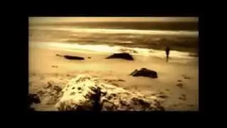 the celicates-surf in evil place