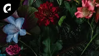 Anna Landström - Indelible