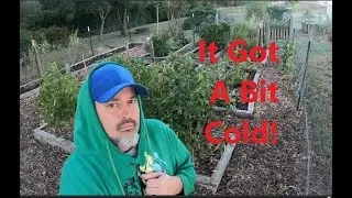 Garden Mulched Check it Out and Week 40