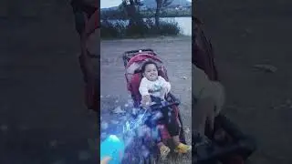 Dragon Fly & Bubble Fun