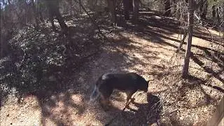 Abilene State Park