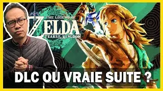 ZELDA Tears of Kingdom : J'ai fini le jeu, TEST COMPLET (+ Gameplay inédit 4K)