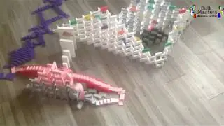 Domino Rally 8!!
