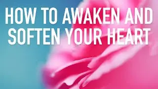 How to Awaken and Soften Your Heart