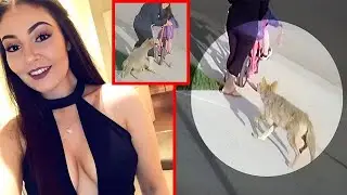 Cuando Los ANIMALES SALVAJES Invaden Los Hogares Y Todo Acaba Mal