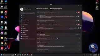 How To Customize Your Windows Automatic Update Using NVDA | Windows Secret Settings For Blind