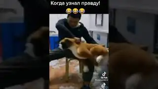 😅