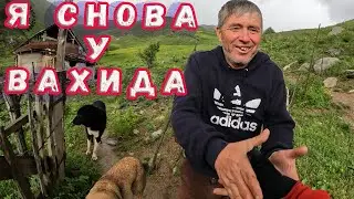 Обещали снег. Вахид привел своих домашних собак в горы. Рассказ про маленьких чабанов.