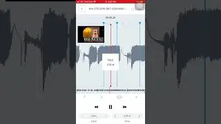 AudioStretch: Donaldducc
