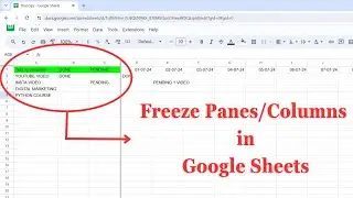 How to Freeze Panes/Columns in Google Sheets|| Issues Fixed || 2024 ||