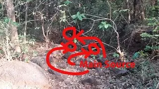 Finding source of unknown River in the jungle Murud Vlog-3