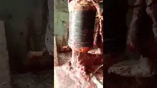 48 ভোল্টের চার্জার