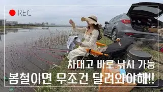 #붕어낚시 ep. 60 차대고 바로 챔질하기  #산란기 저수지붕어낚시 #피싱메이비 #저수지낚시 #잉어낚시 #민물낚시 #소류지낚시 #부부취미 #창녕저수지 #인스타360  #드론