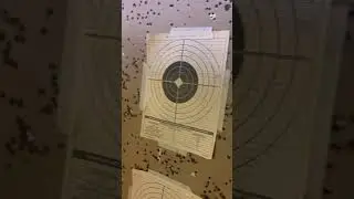 TARGET PRACTICE SNIPPET 💥 #tactical #hunting #navyseals #gunlifestyle #like #comment #subscribe
